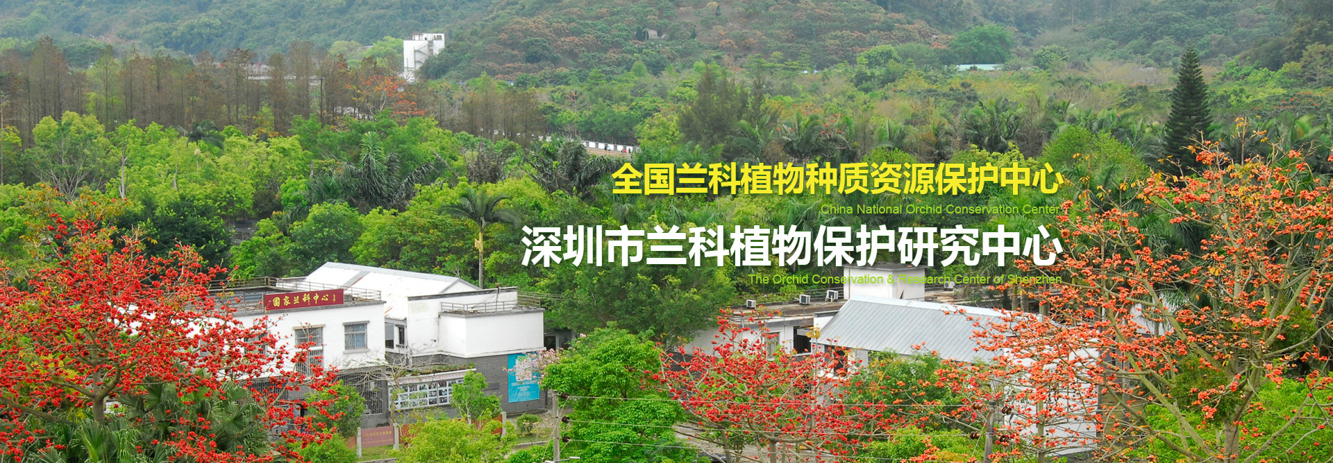 蘭科植物種質(zhì)資源保護(hù)中心