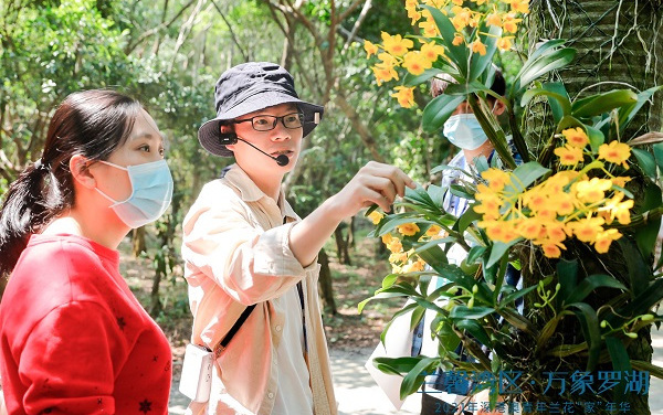 深晚報(bào)道：著漢服游園賞蘭 2021年“蘭馨灣區(qū)·萬(wàn)象羅湖”深港澳青年蘭花“家”年華舉辦