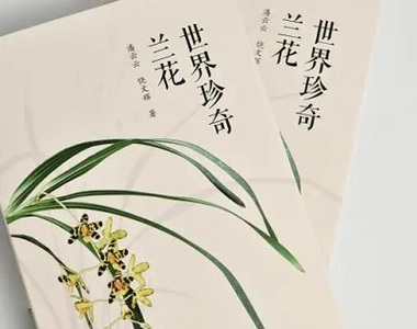200種世界罕見(jiàn)野生蘭花，內(nèi)含400多張精美照片/蘭科中心新書(shū)，與君分享