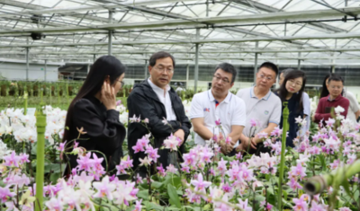 深圳市規(guī)劃和自然資源局副局長高爾劍帶隊來蘭科中心調研