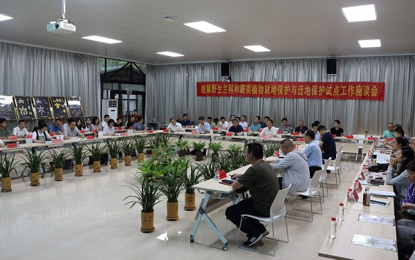 蘭科中心成功舉辦統(tǒng)籌野生蘭科和蕨類(lèi)植物就地保護(hù)和遷地保護(hù)試點(diǎn)工作座談會(huì)